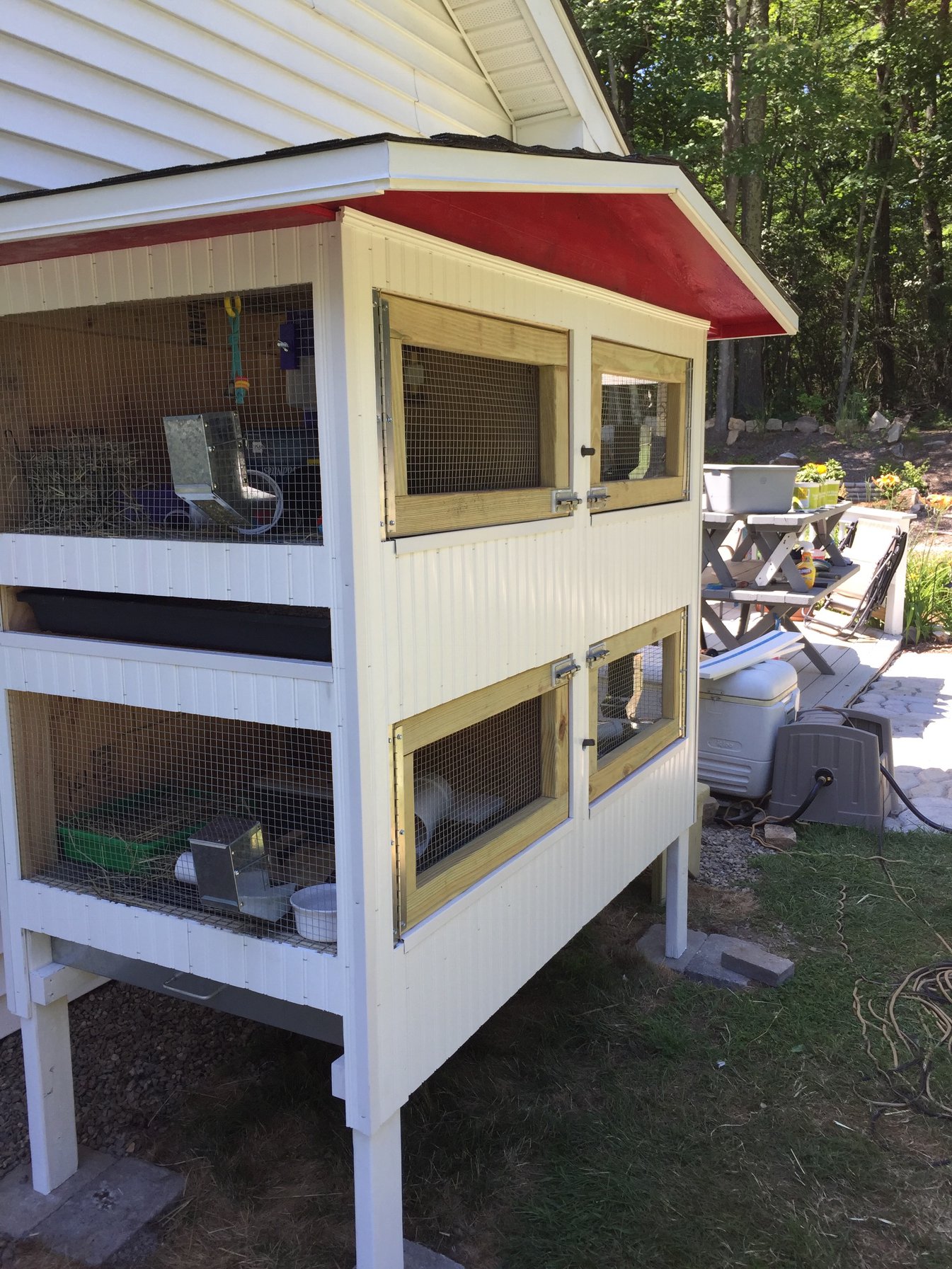 Our new amazing rabbit hutch is in... - Huntington Hoppers | Facebook
