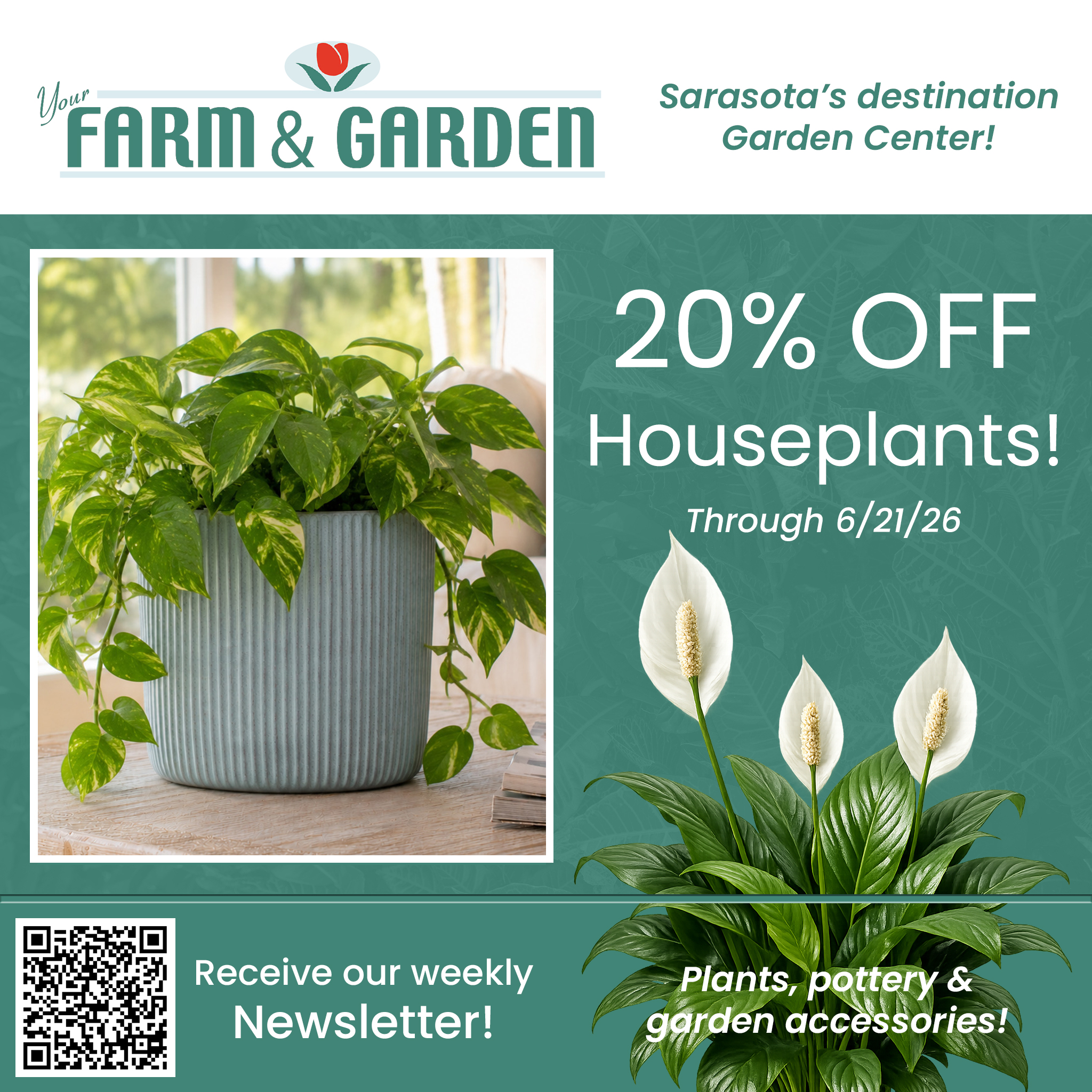 20% off houseplants at Your Farm and Garden