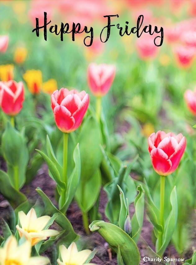 Happy Friday! Wishing you a... - North Texas Farm & Ranch