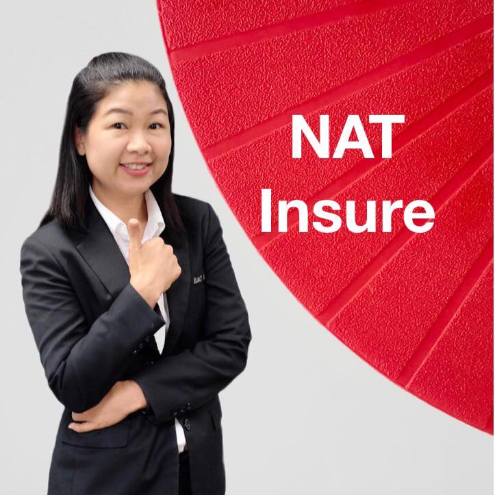 NAT Insure