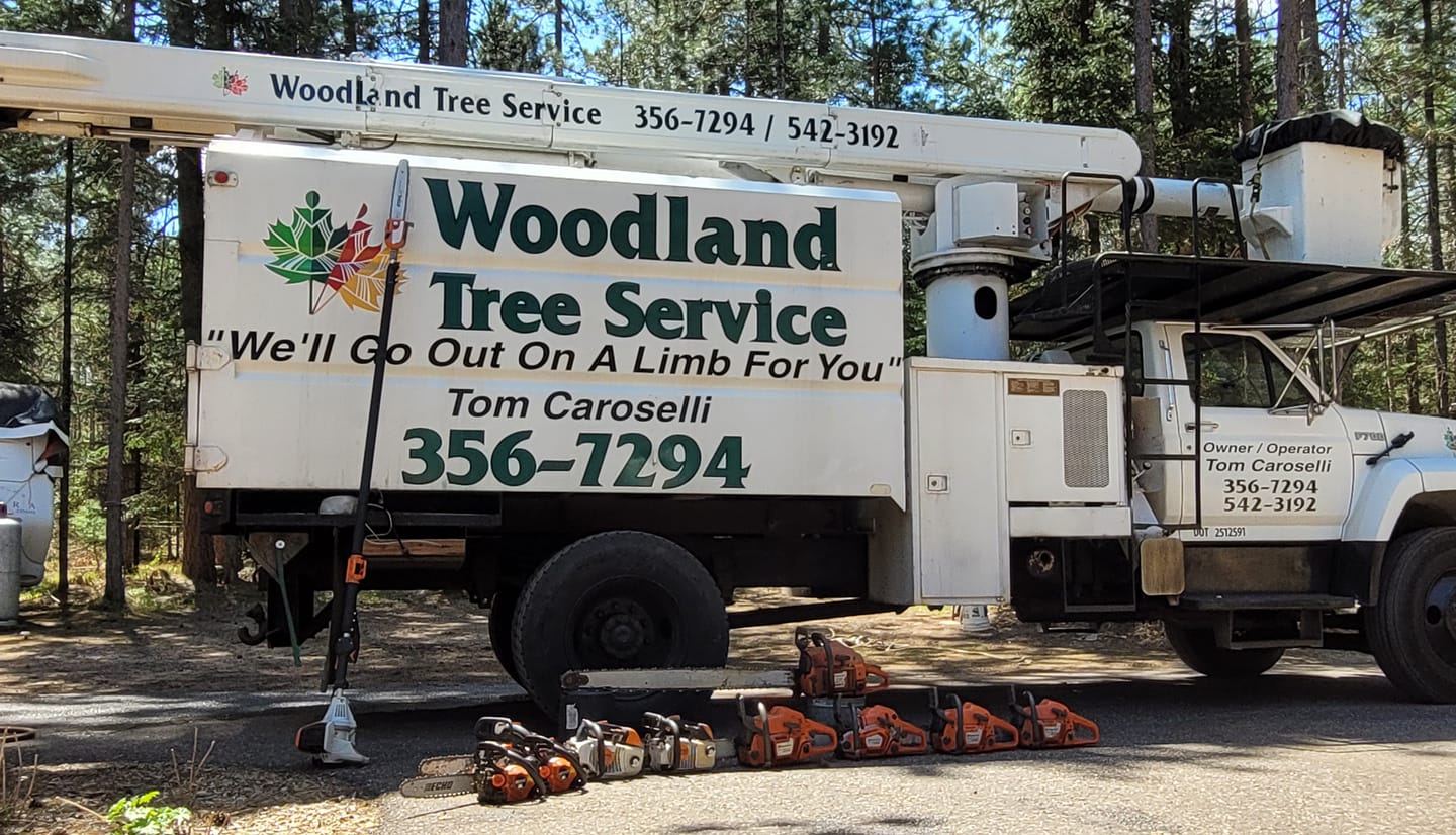Woodland - Meet the Team at Woodland Tree Service! We’re excited to ...