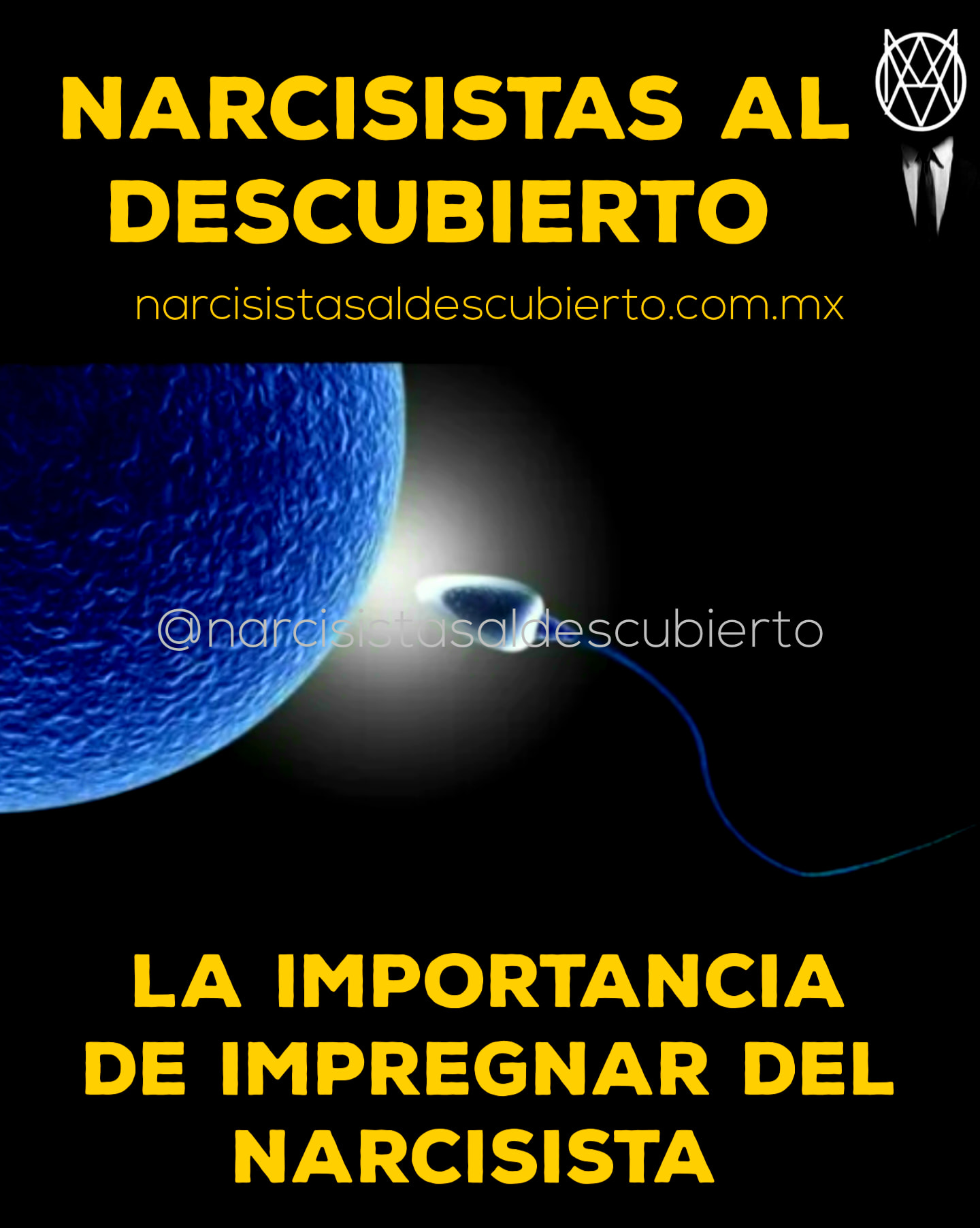 LA IMPORTANCIA DE IMPREGNAR... - Narcisistas al Descubierto | Facebook