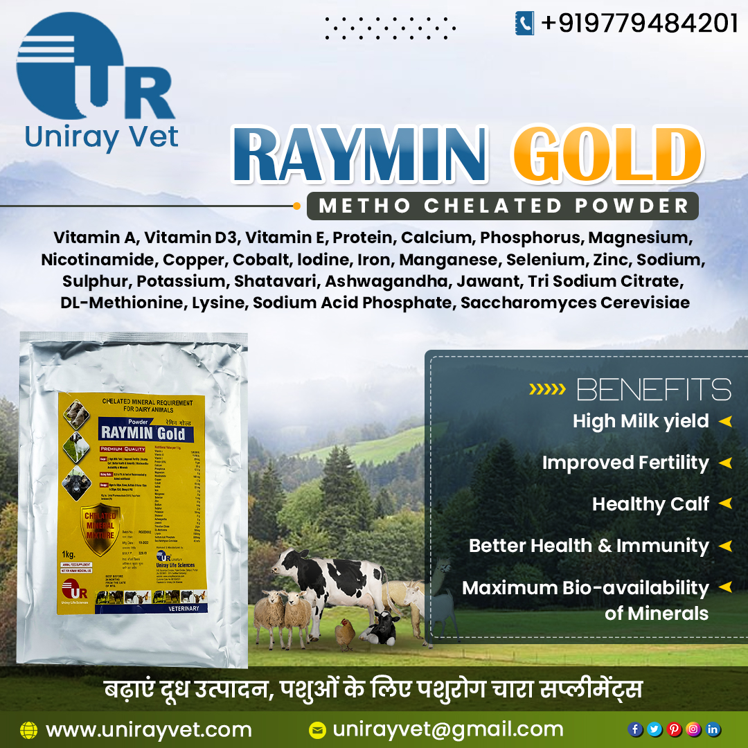 Uniray Vet - Introducing RAYMIN GOLD METHO CHELATED POWDER... | Facebook