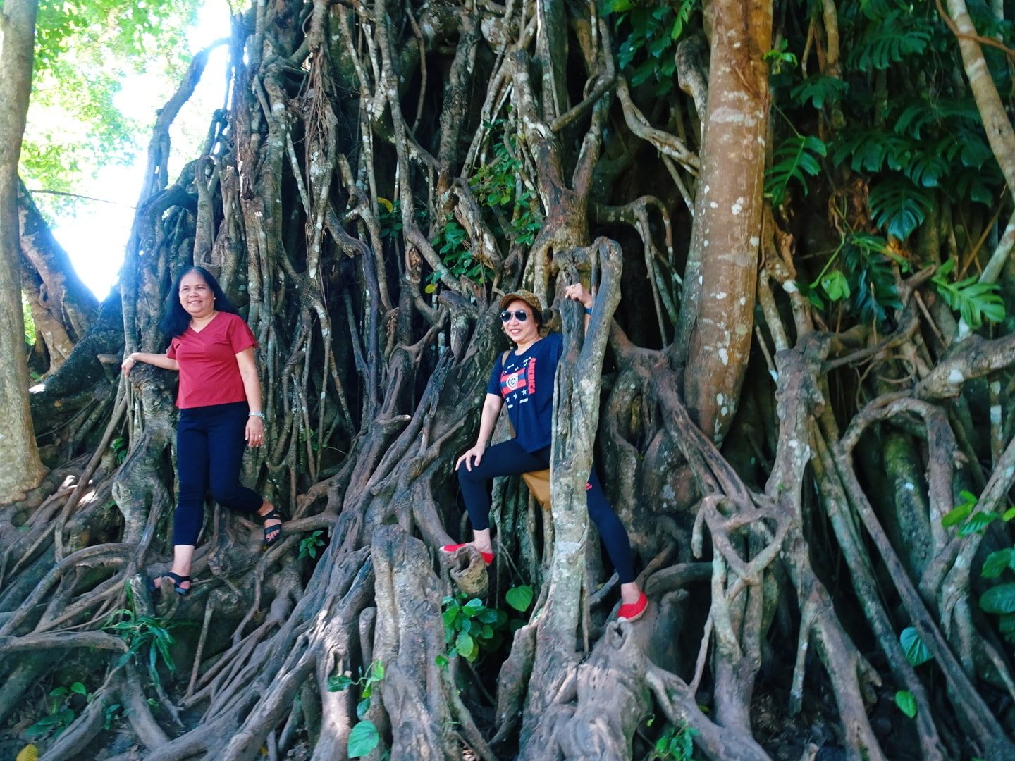 Jencel Educational... - Jencel Educational Travel and Tours