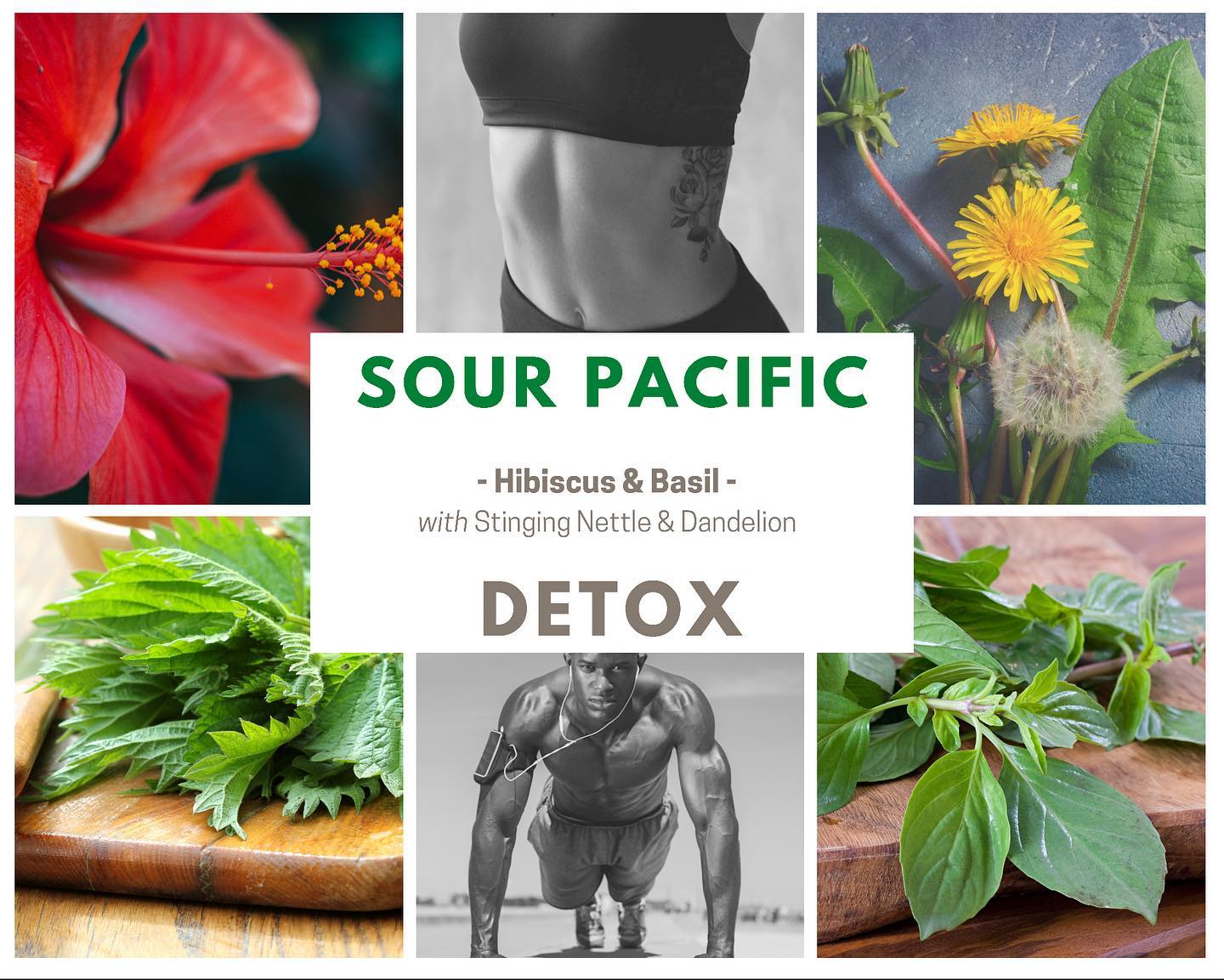 The RX Tea Shop - Sour Pacific has emerged as the hands... | Facebook