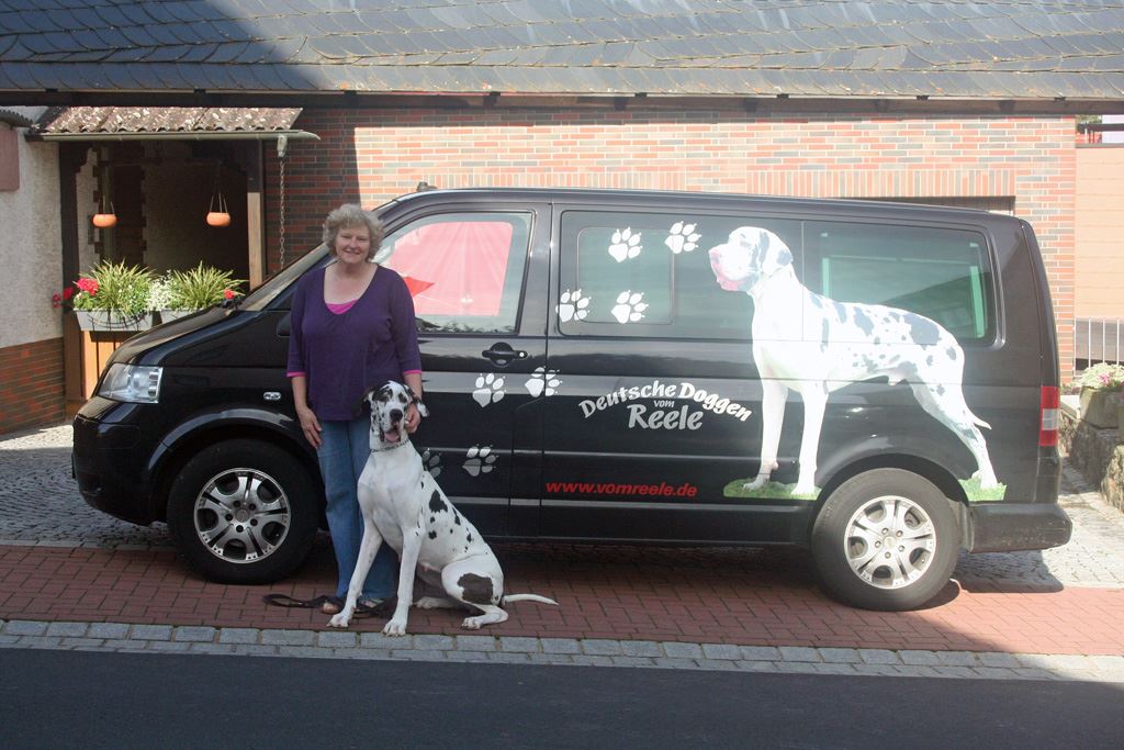 Deutsche Doggen vom Reele