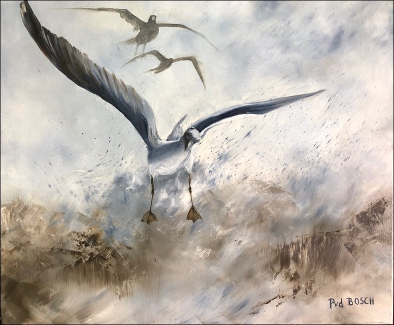 Seagull Jonathan Livingston, 2003 bromoil, 35 cm x 25 cm