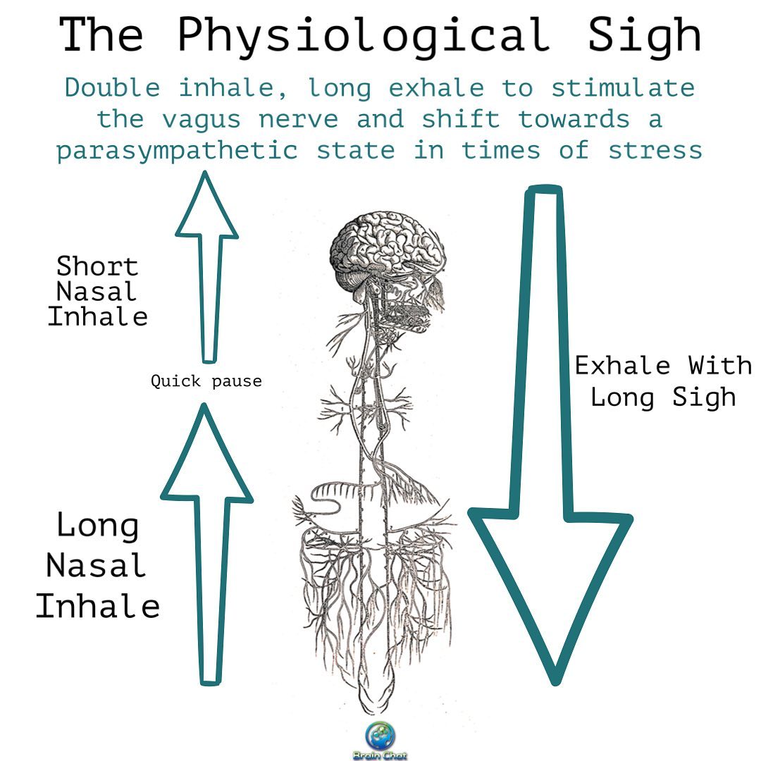Dr. - The Physiological Sigh There are dozens of breathing techniques ...
