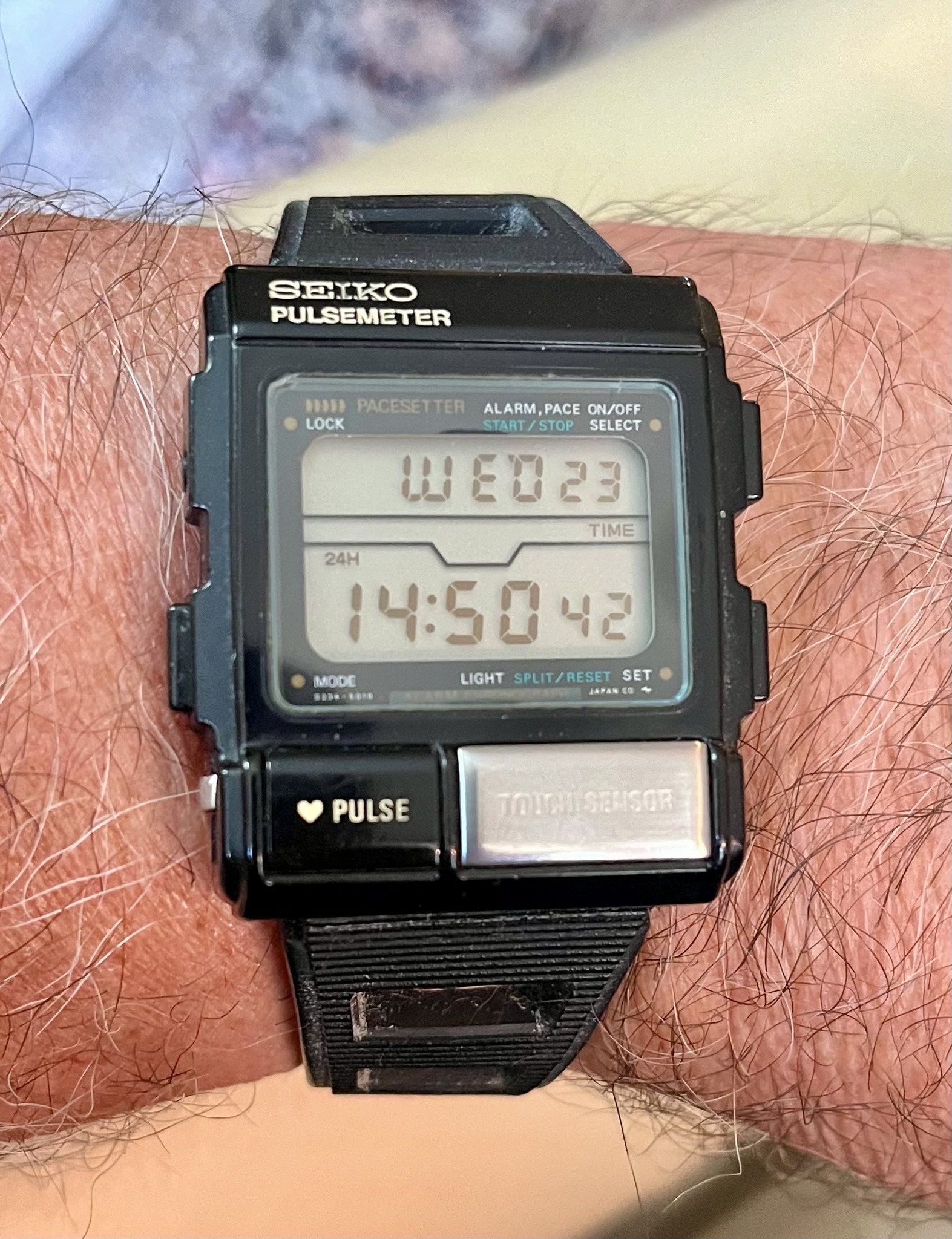 SJC wrist watch repair or replacement needed