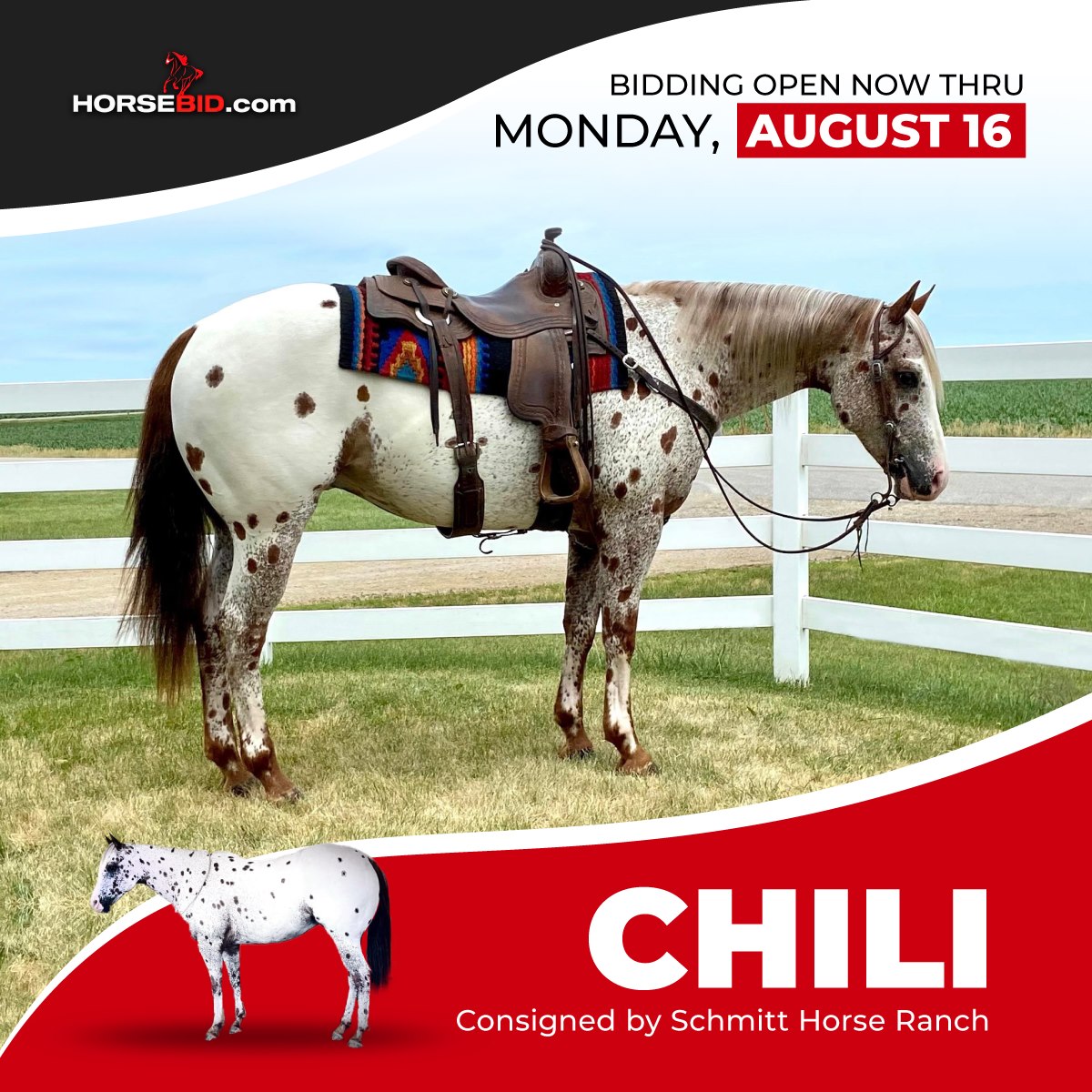 Roseland Ranch - We raised this gelding. He previously...