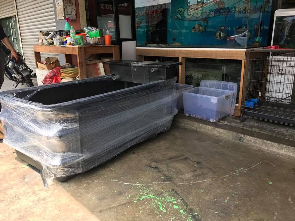 Fiber Glass Tank 5ft X 2 5ft X 2ft H R08 That Fish Shop Facebook