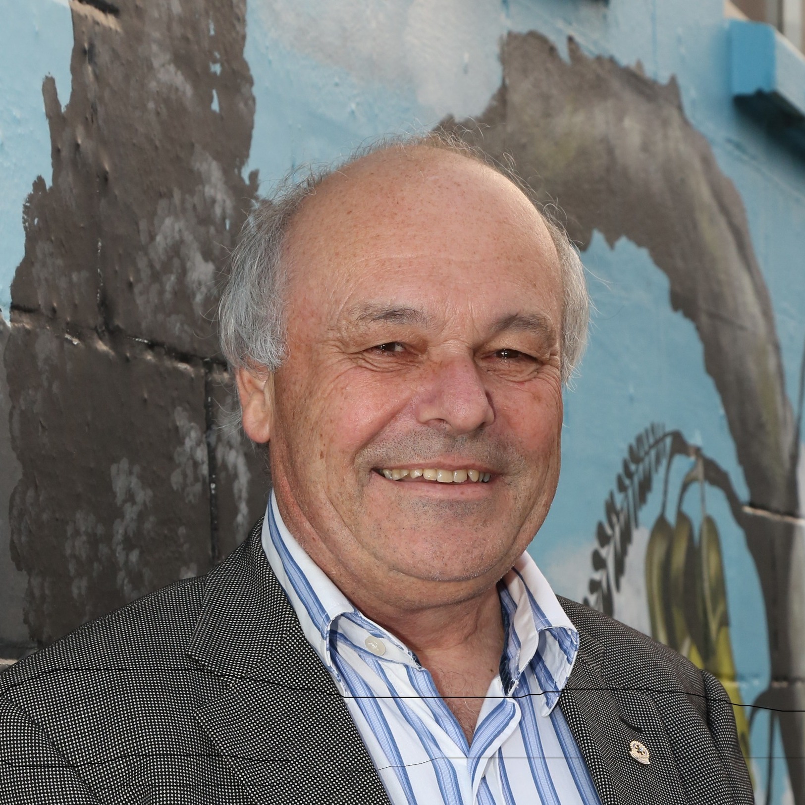 John Riddell for Upper Harbour 2025