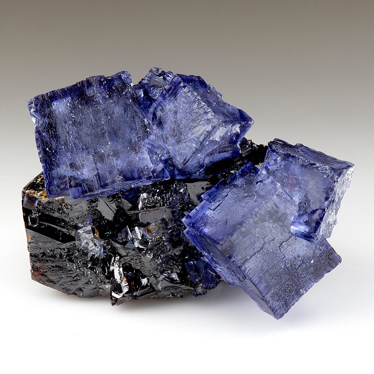 Weinrich - FLUORITE WITH SPHALERITE https://www.weinrichmineralsinc.com ...