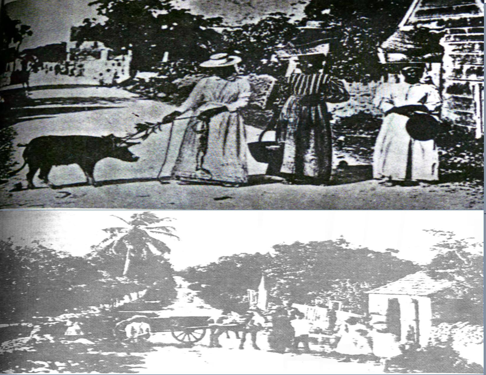 Ms. - The African Settlements (Information courtesy of Slavery in The ...