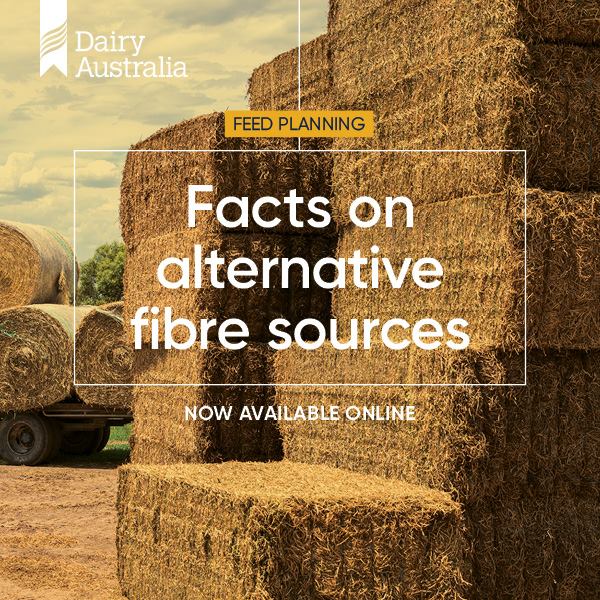 Dairy Australia - Almond hulls, cereal straw, sugar cane forage – there ...