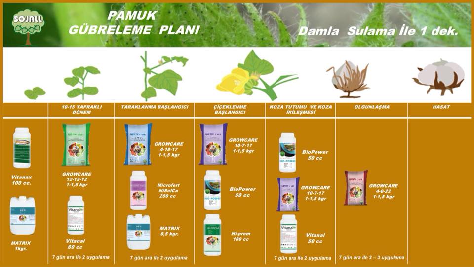 FRADA Organic | Bursa