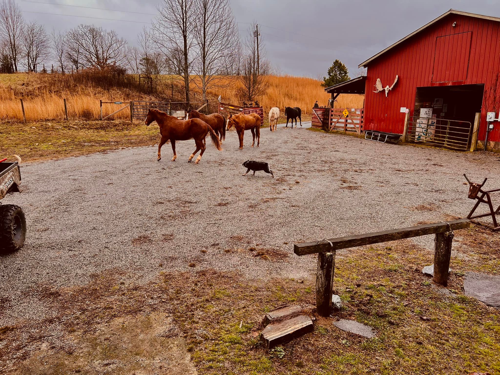 Rocking C Ranch | Blairsville GA