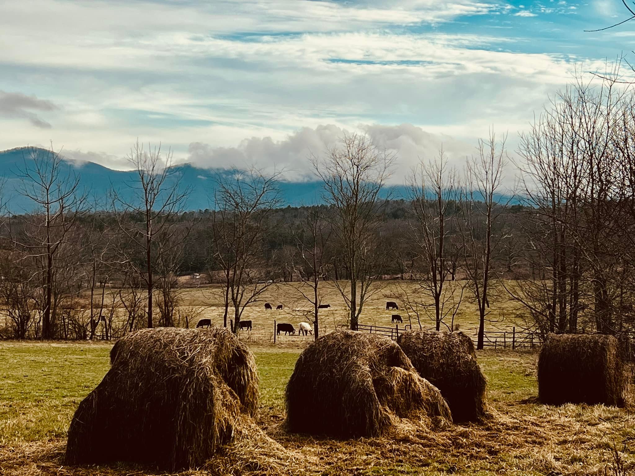 Rocking C Ranch | Blairsville GA