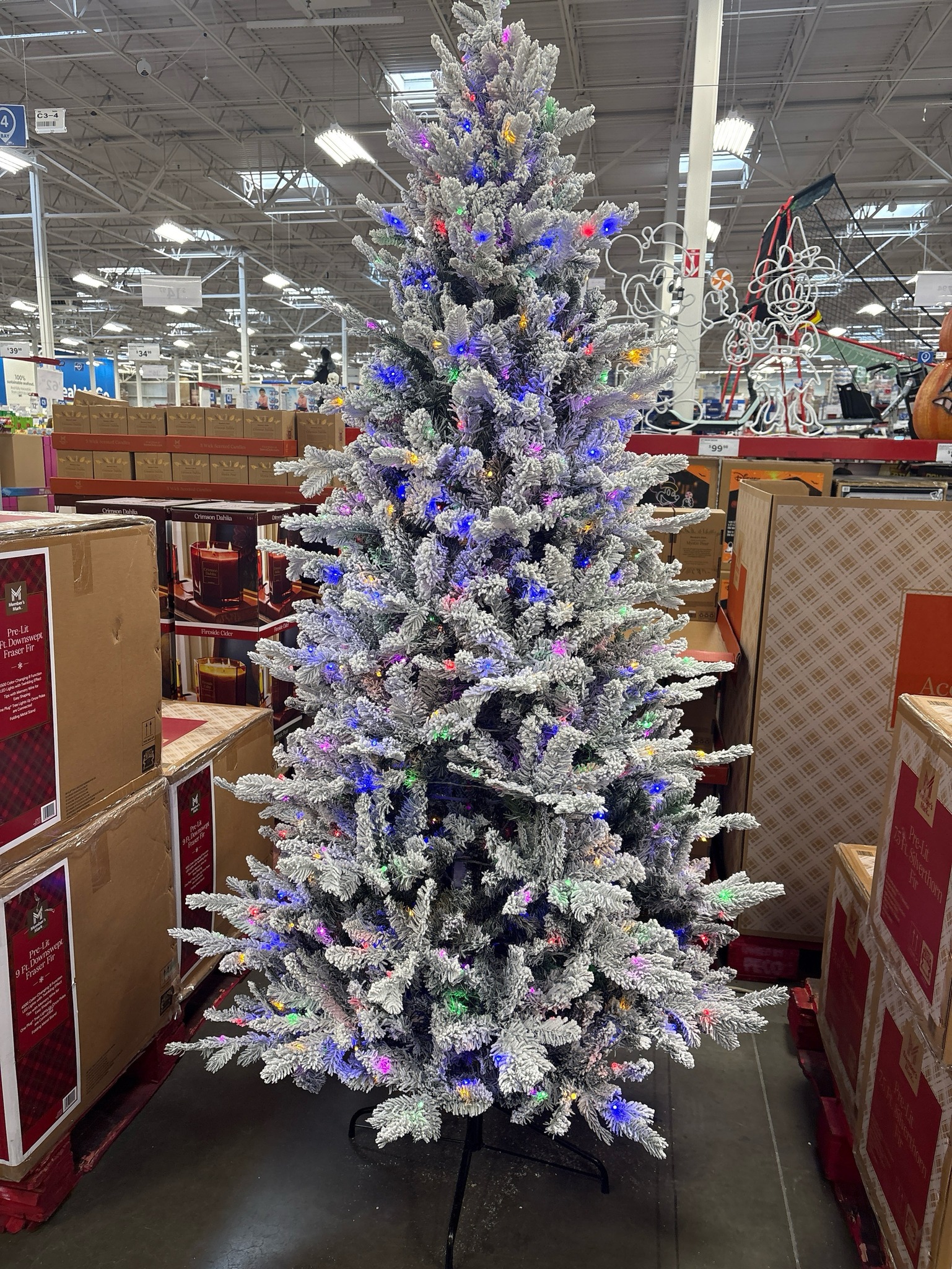 Sam's - Bring home the beauty of the season with this 7.5-ft Pre