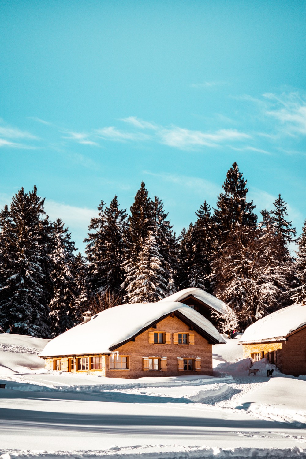 Properties R Us LLC | Spanaway WA