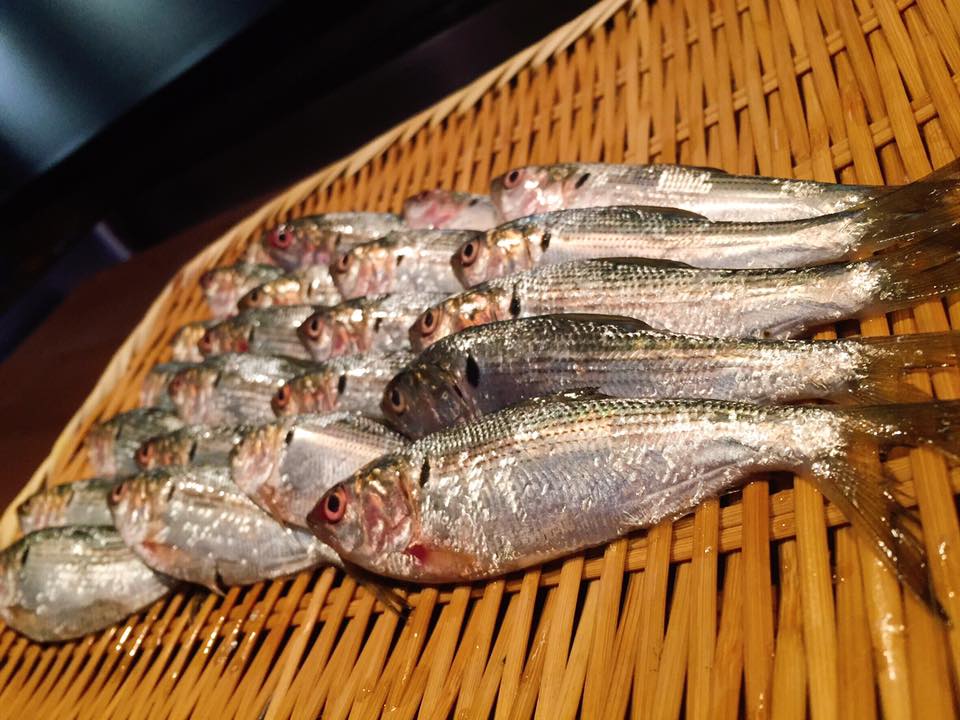 鮨 崤 - #新子 #花枝 #秋刀 #松川鰈 #黑鮪魚 #山肴鮨 #板前 #無菜單料理 #中山區 #新光南西... | Facebook