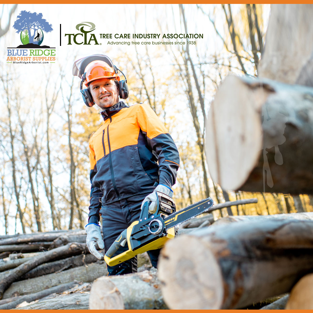 Blue Ridge Arborist