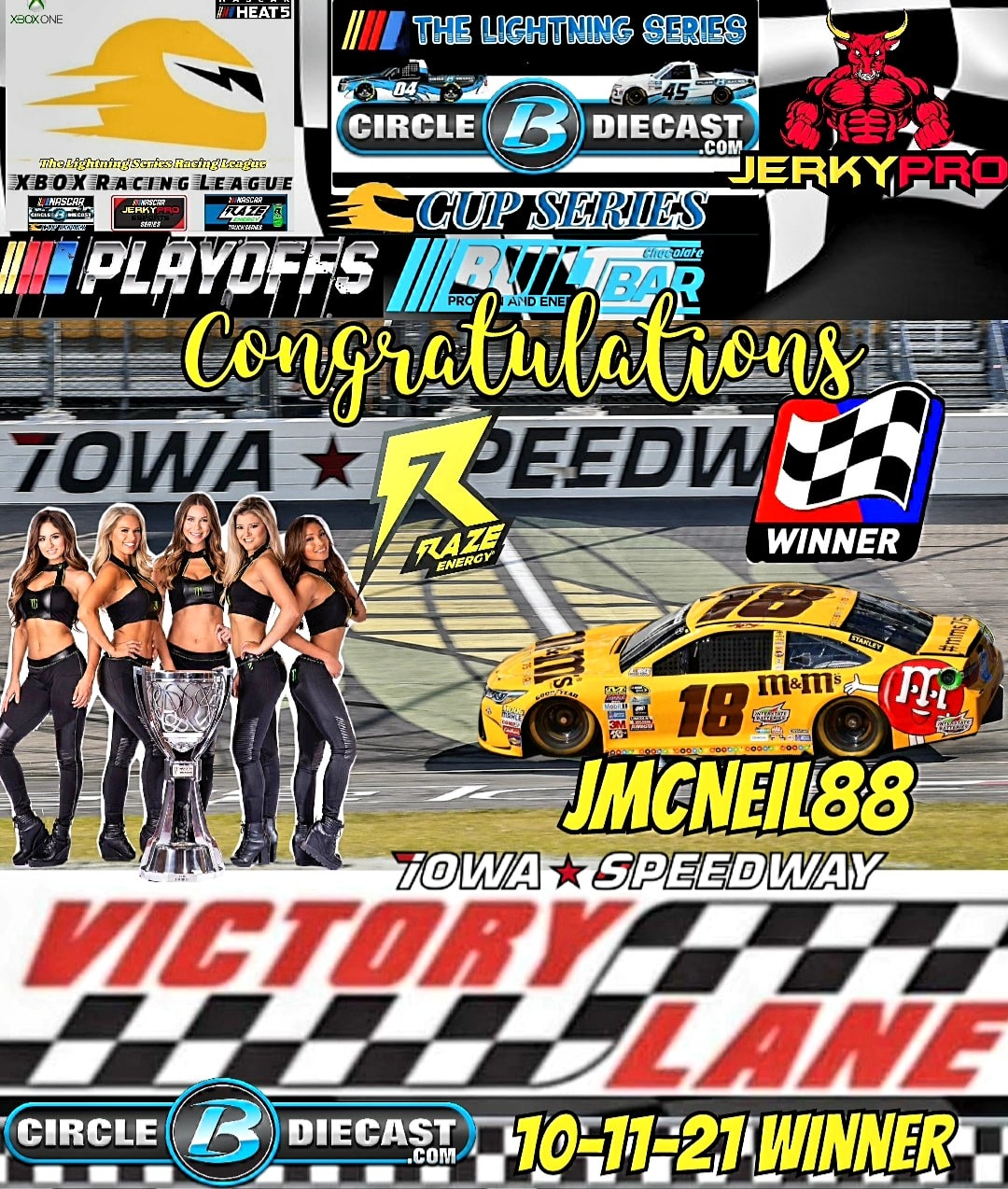 Loose Lug Nut Racing League | Congratulations to the # 18 Cup Car of ...