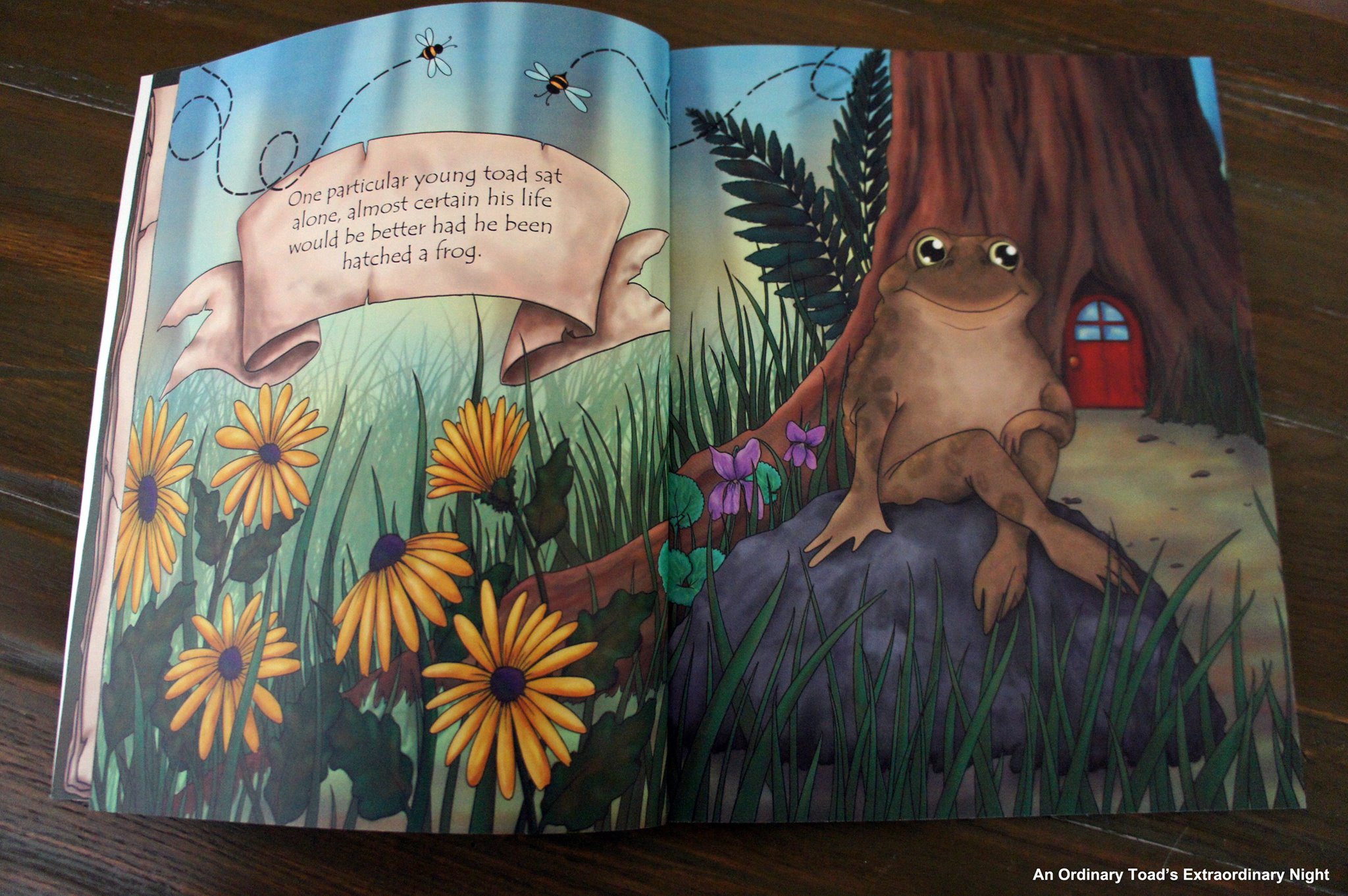 An Ordinary Toad's Extraordinary Night