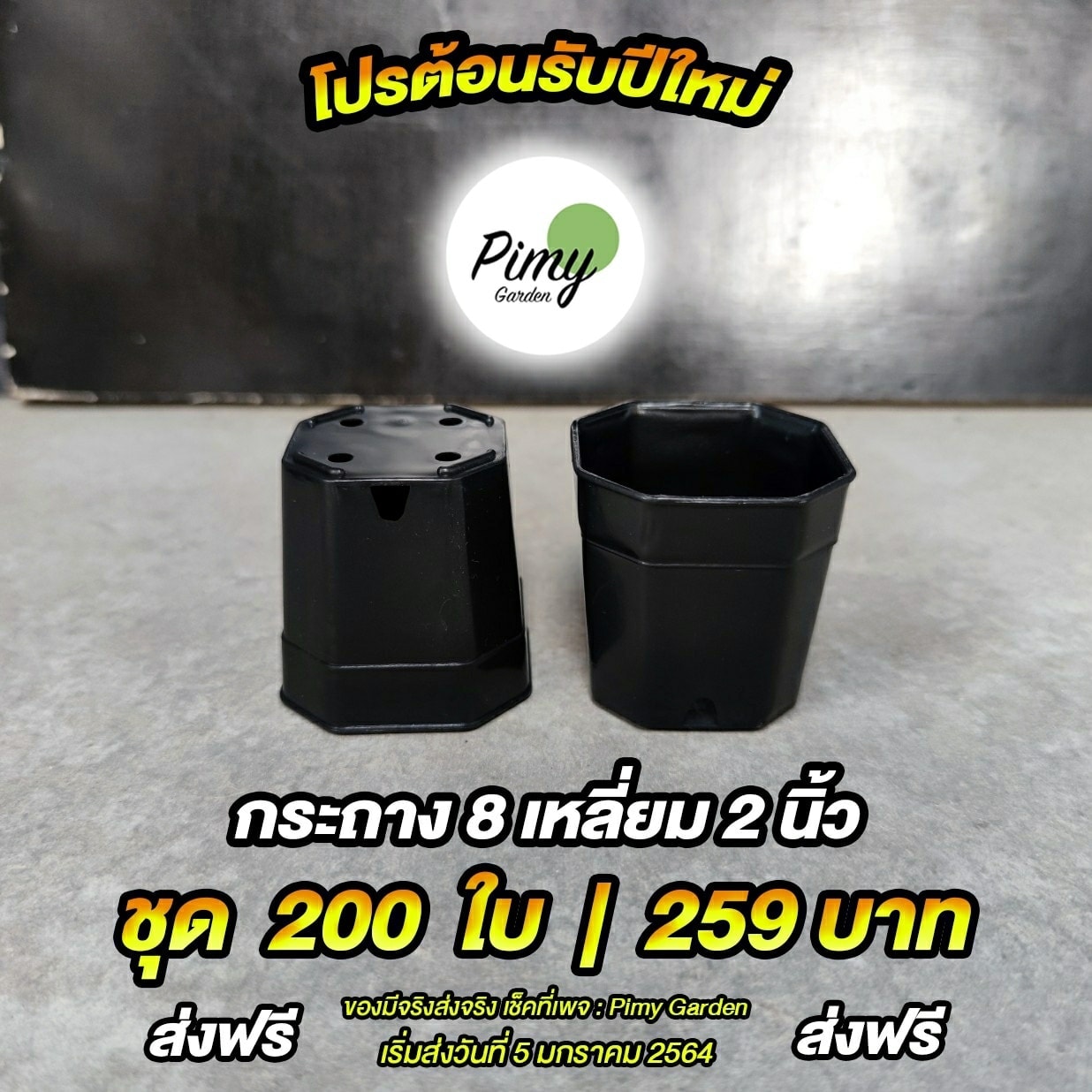 🎆 โปร...ต้อนรับปีใหม่... - Pimy Garden - กระถางต้นไม้พลาสติก