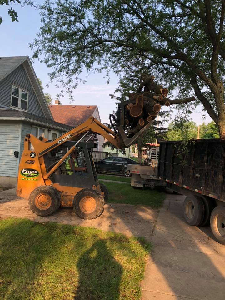 Frye's Tree Service | Webster City IA
