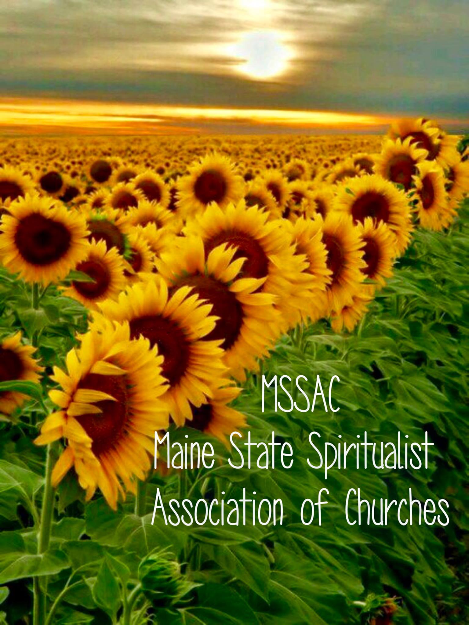 MSSAC
