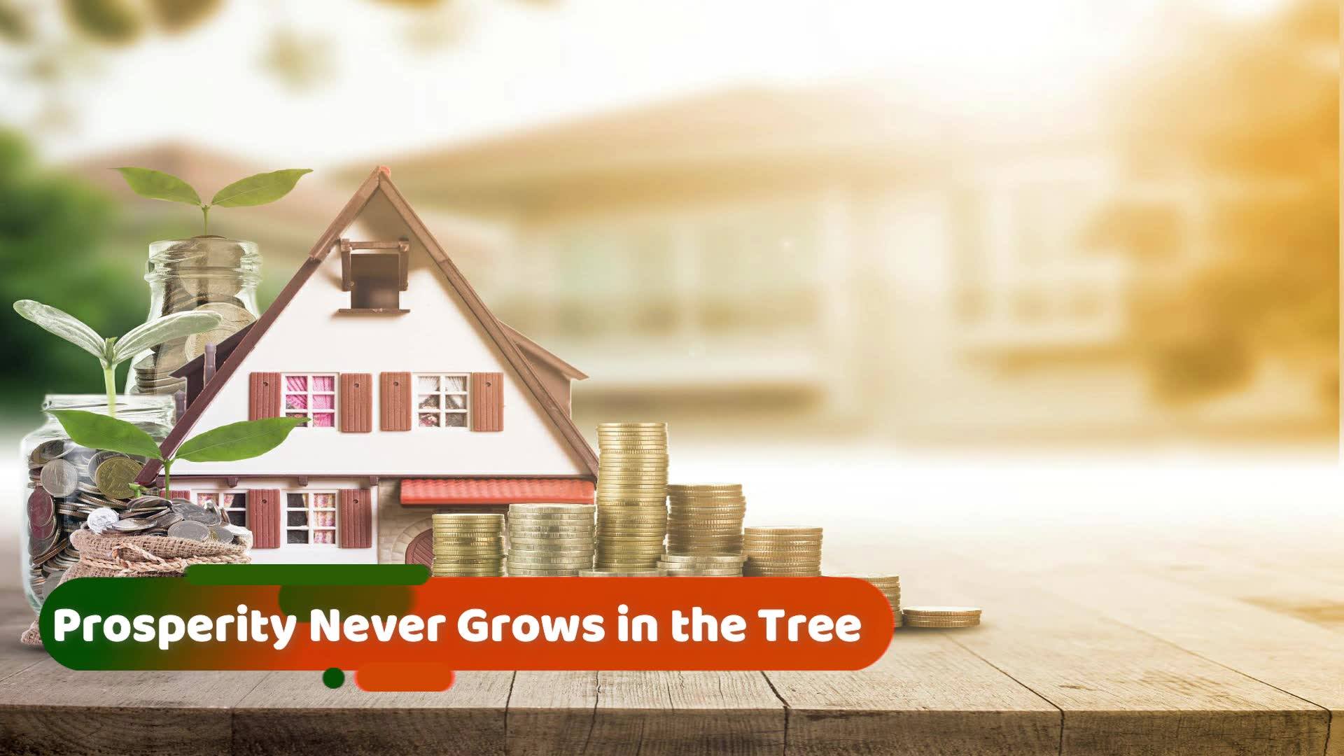 SamBriddhi Real Estate | Kathmandu