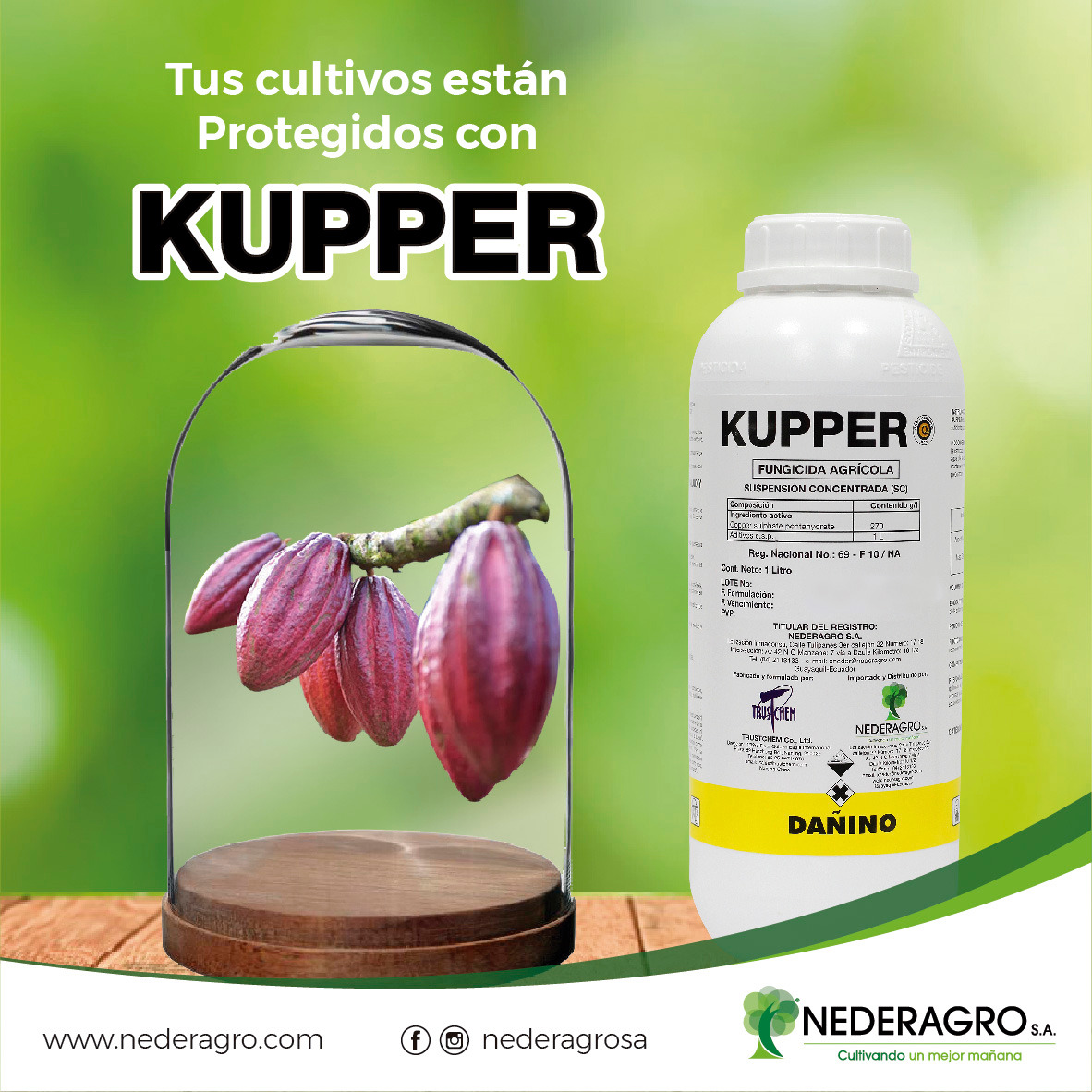 Nederagro - KUPPER Es un potente fungicida-Bactericida de...