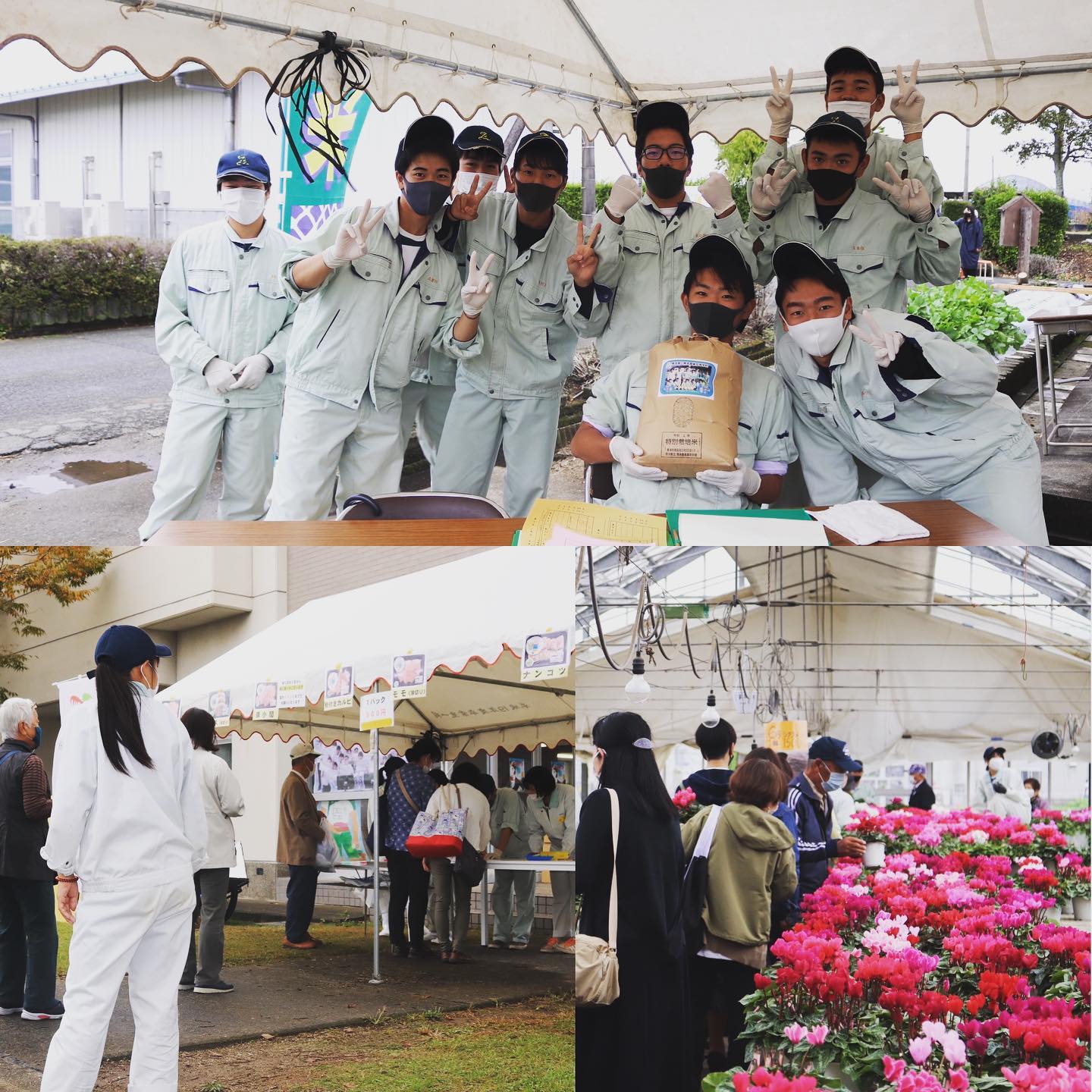 熊本 農業 高校 南園 祭