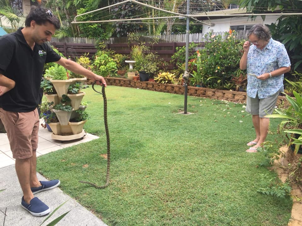 Northern Rivers Snake Catcher