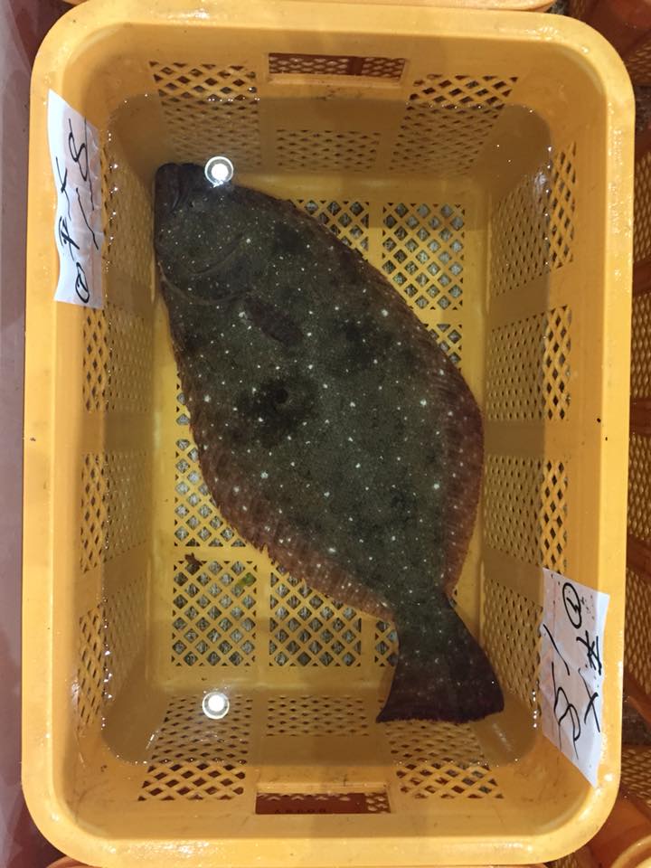 Fresh Fish from Fisherman Japan