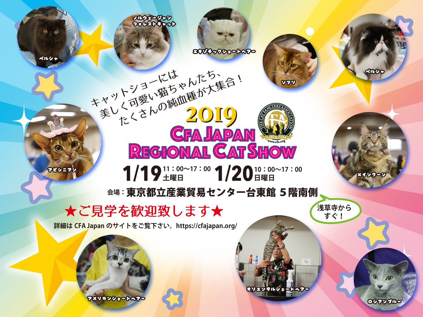 Cfa Japan Region キャットショーってどんなところ Cfaジャパンリジョナルキャットショーへ見学にいらっしゃいませんか 美しい 猫ちゃん 可愛い猫ちゃん カッコいい猫ちゃん グランドチャンピオンの猫ちゃんなど たくさんの純血種の猫ちゃんが集まります