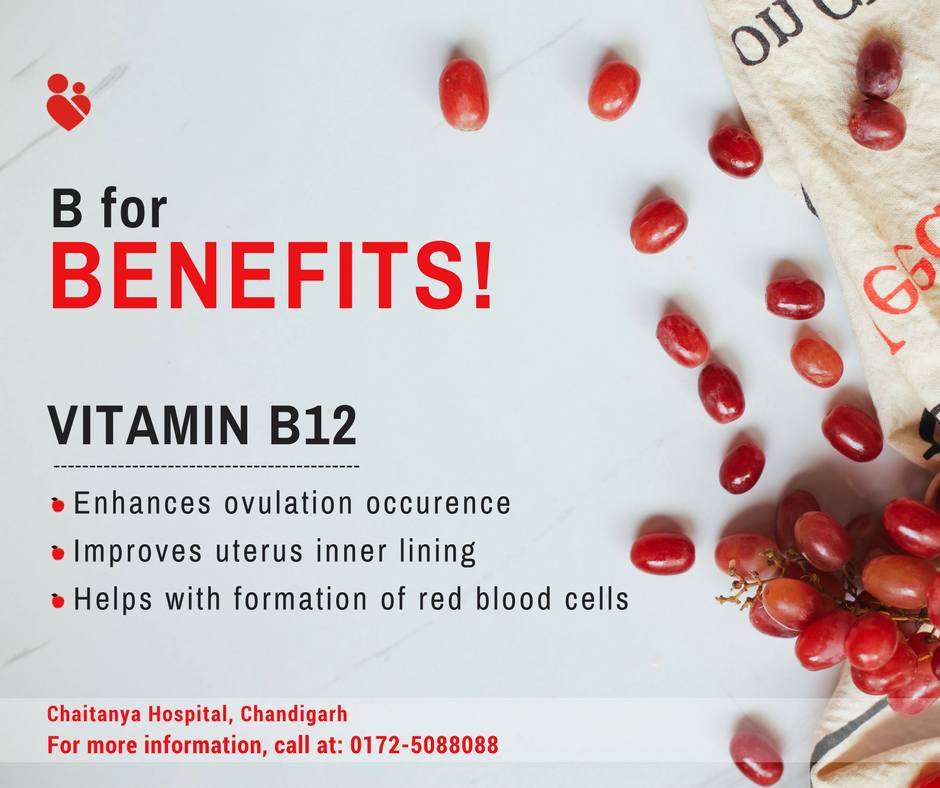 Vitamin B12 is extremely crucial during pregnancy as it helps in DNA synthesis along with preventing neural tube defects (NTDs). Don't forget this vital vitamin to make your pregnancy journey healthy and