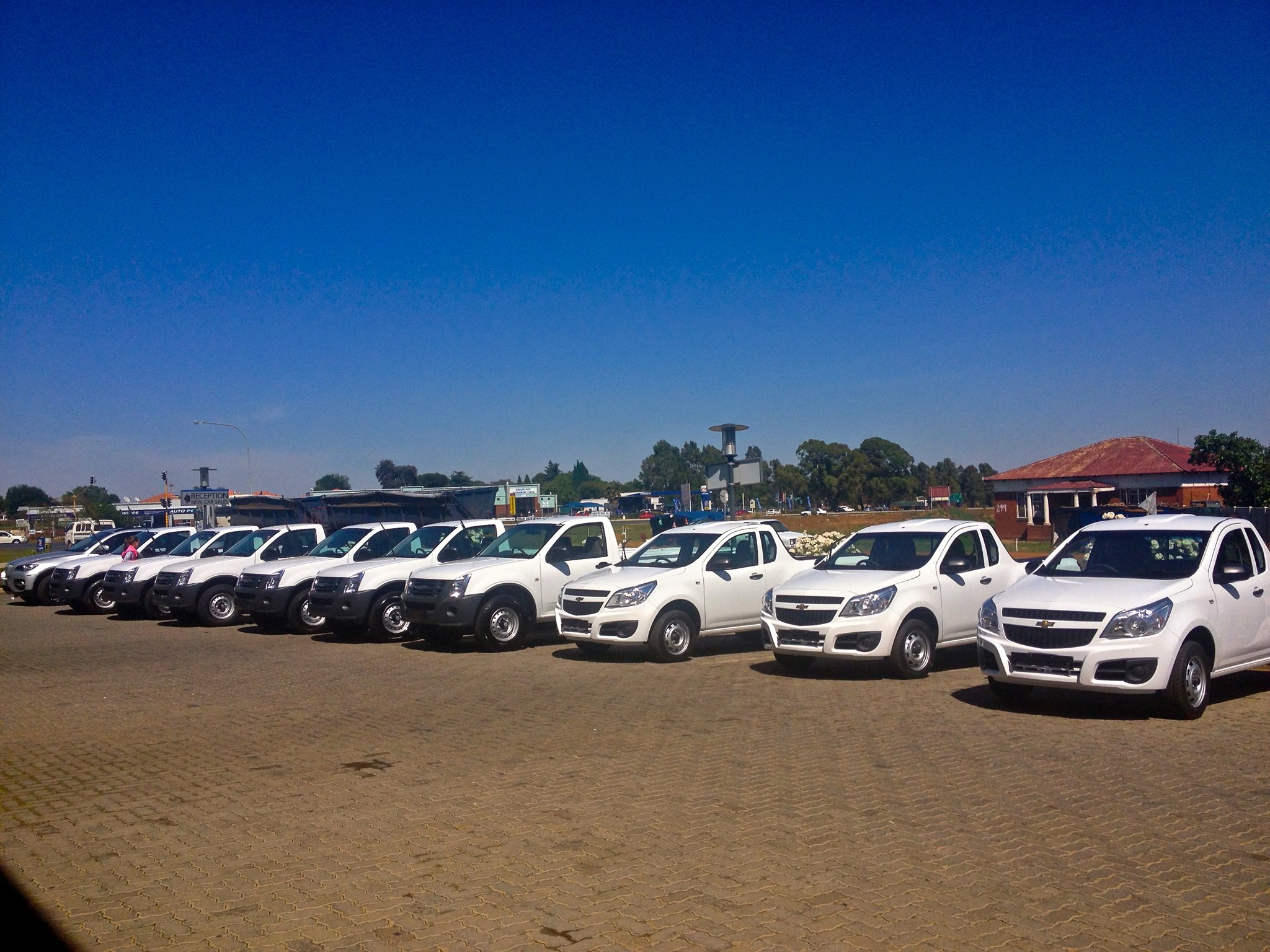 B-Line Express Couriers & DGR Logistics - Graphics & Signs | Midrand