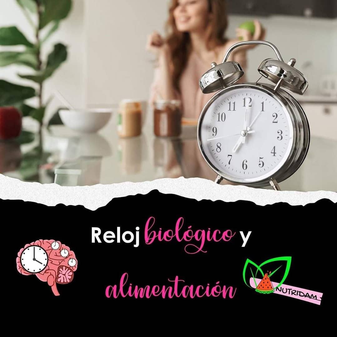 Nutridam - ⏳El sistema circadiano conformado por el...