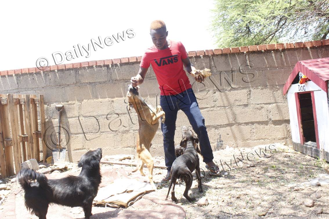 BWgovernment - DOG BREEDING SUSTAINS MODISANE... | Facebook