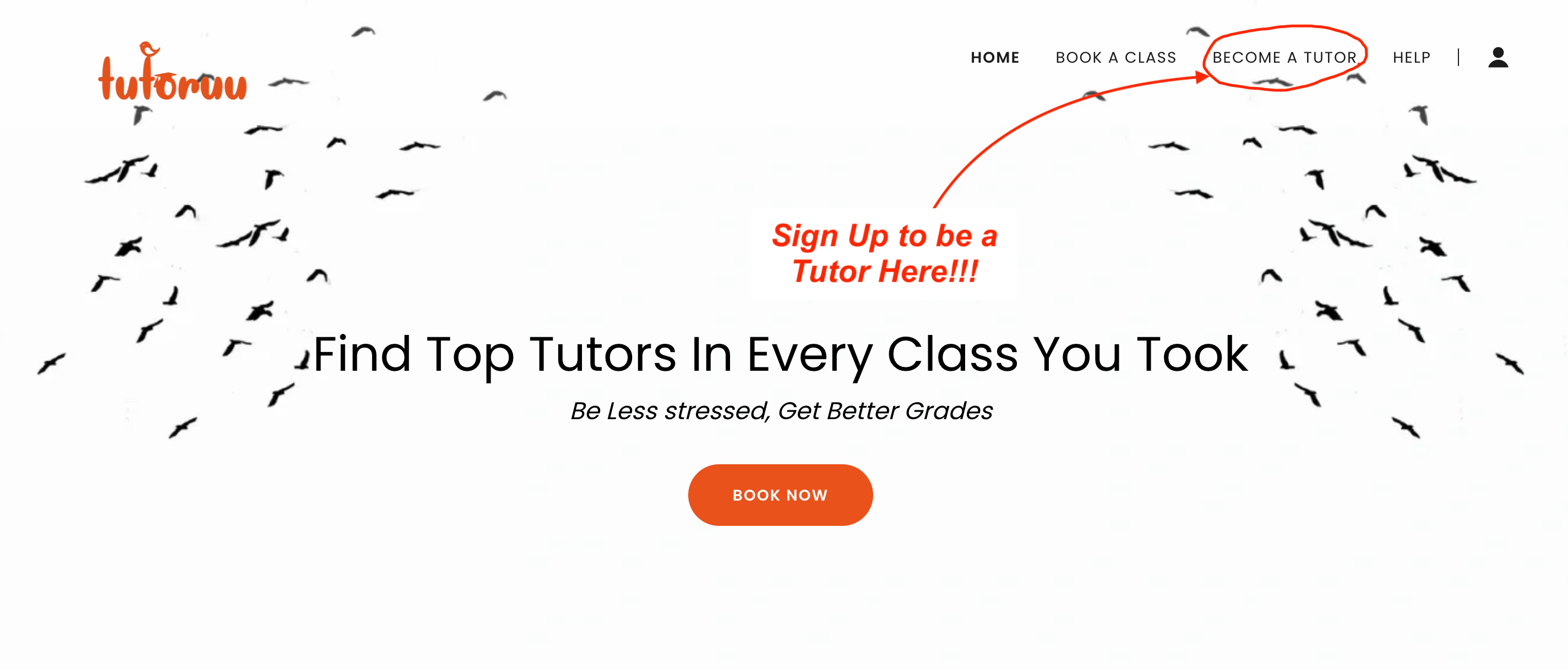 Tutoruu - 🔸🔸 At Tutoruu, we are dedicated to build a...