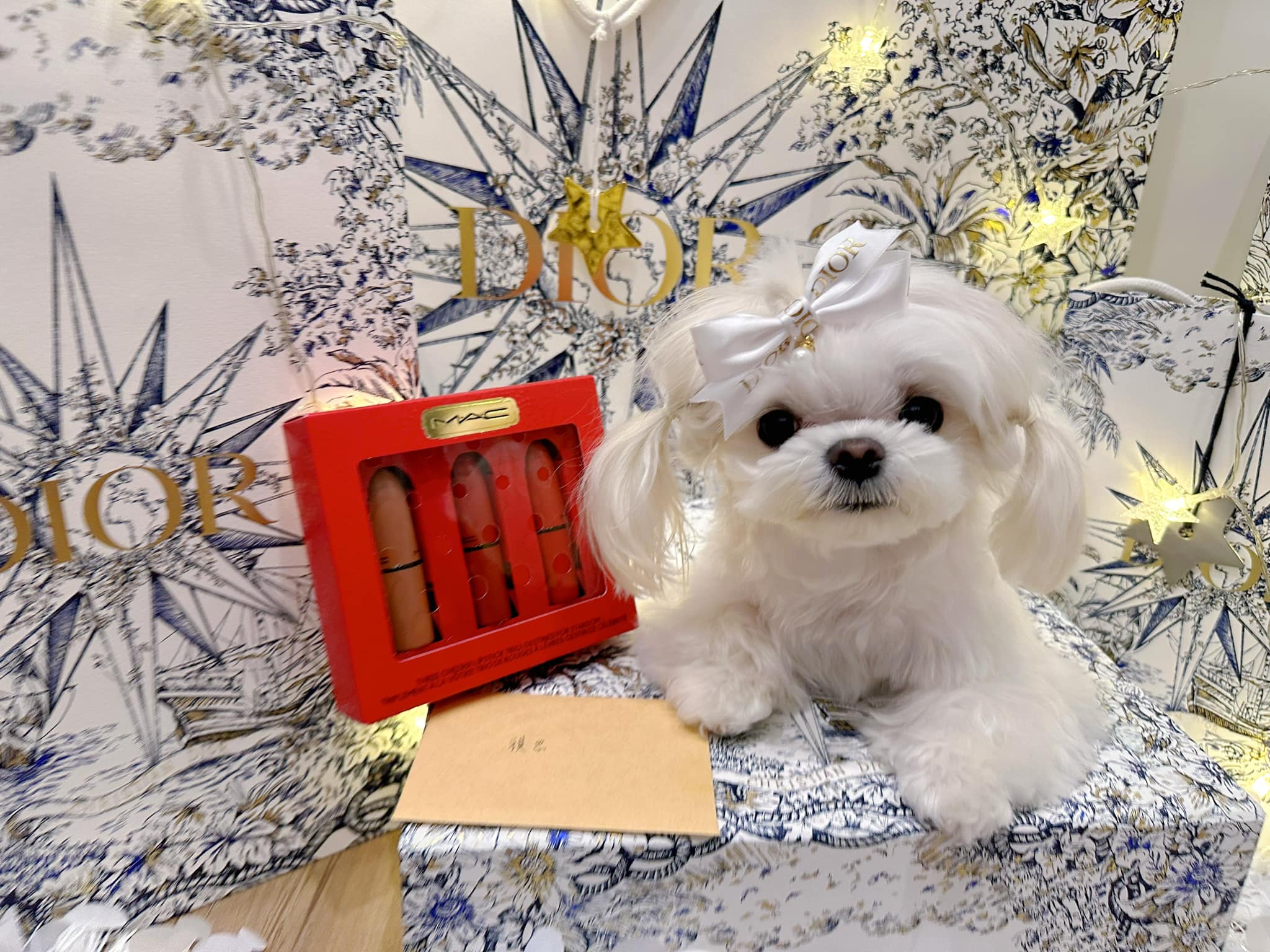 咪妮小賊 - 這小孩是吃什麼聰明蛋長大嗎～ 這次我特別不跟她說 這是媽媽的～ 她居然知道的表情！！... | Facebook