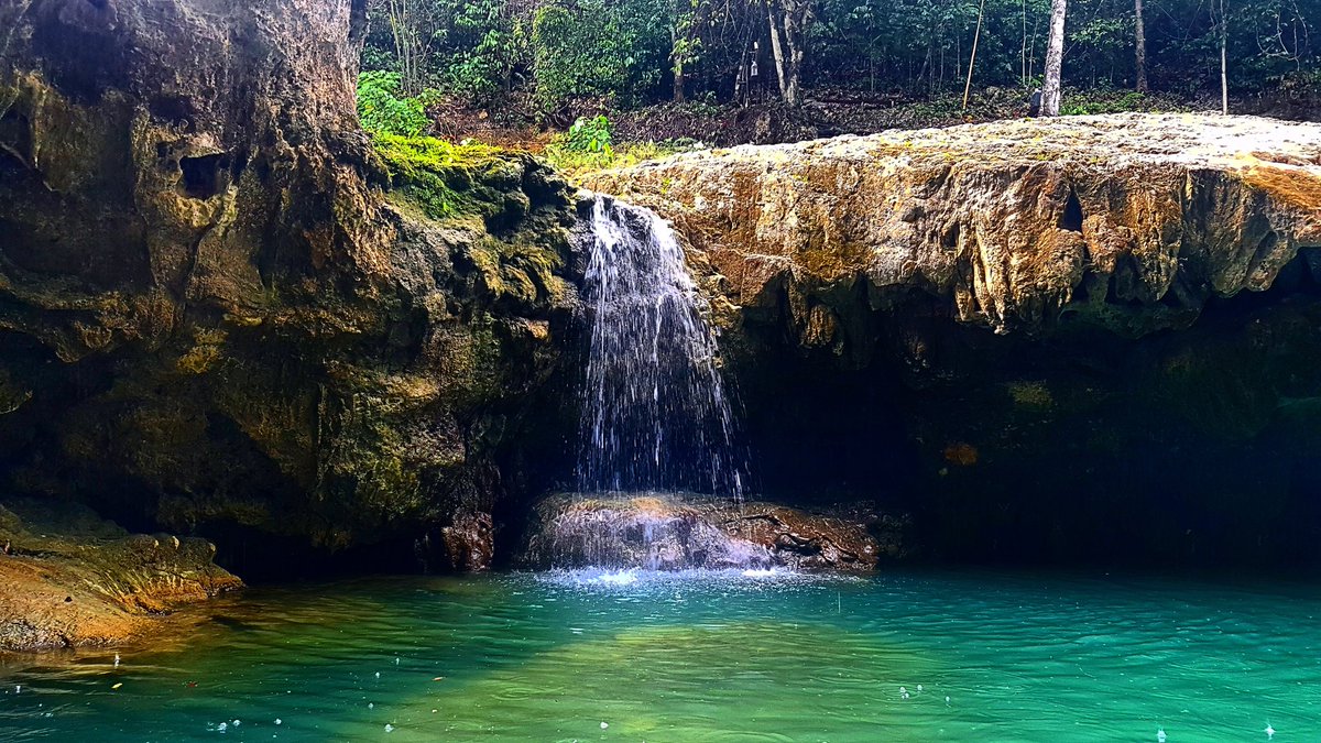 Danicop Ticugan Spring | Loon