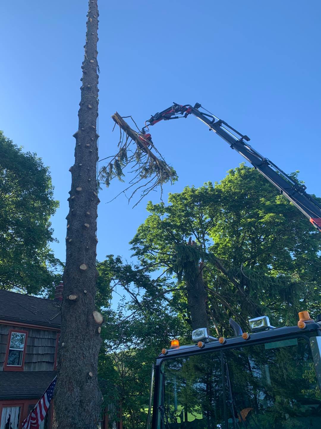 CB's Tree Service and Logging | Glenville PA