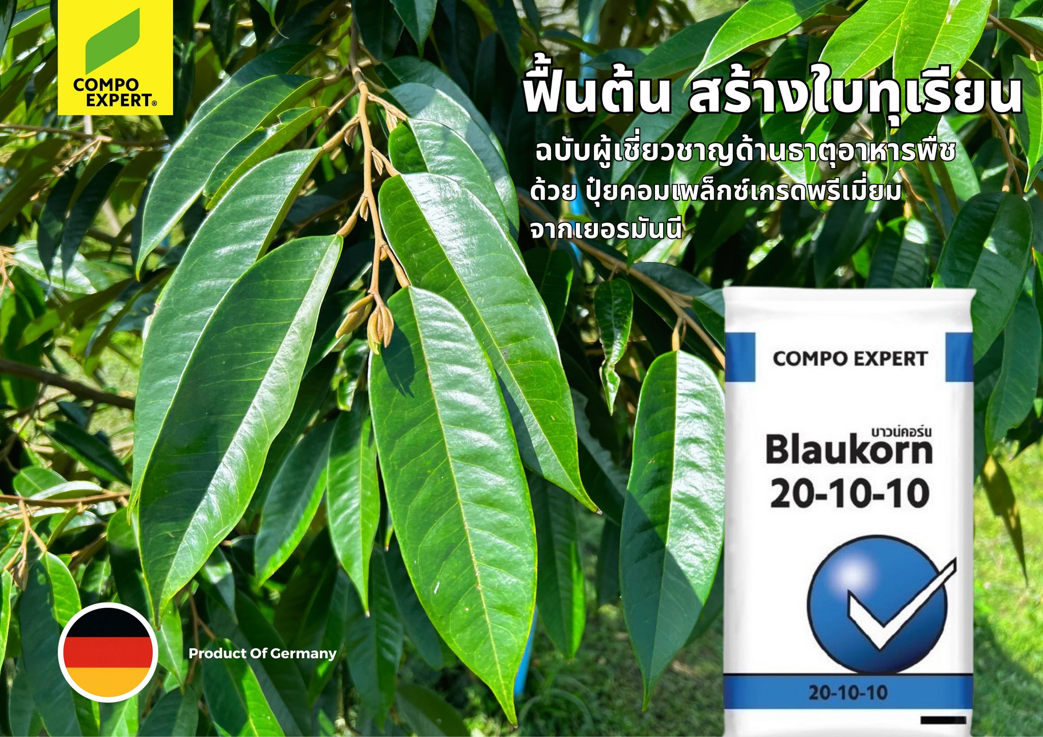 🌳ฟื้นฟูต้น... - COMPO Expert Asia Pacific,Thailand | Facebook