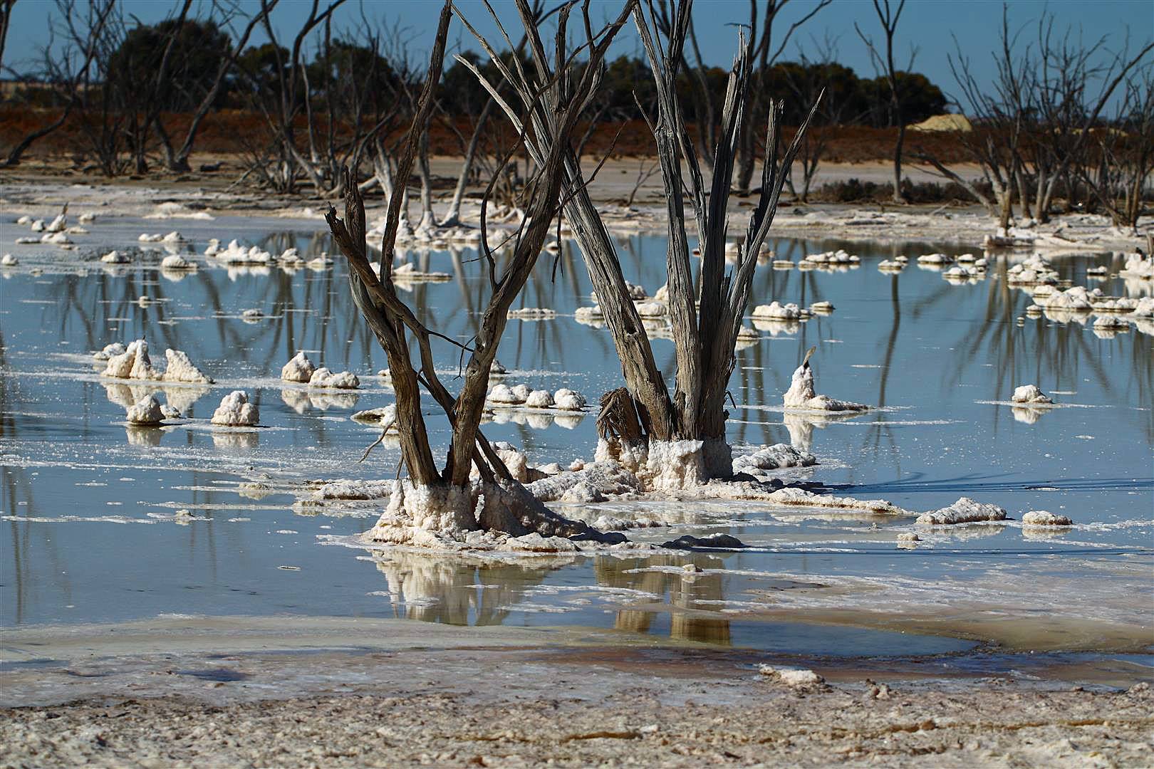 Mingenew Visitors Centre added... - Mingenew Visitors Centre