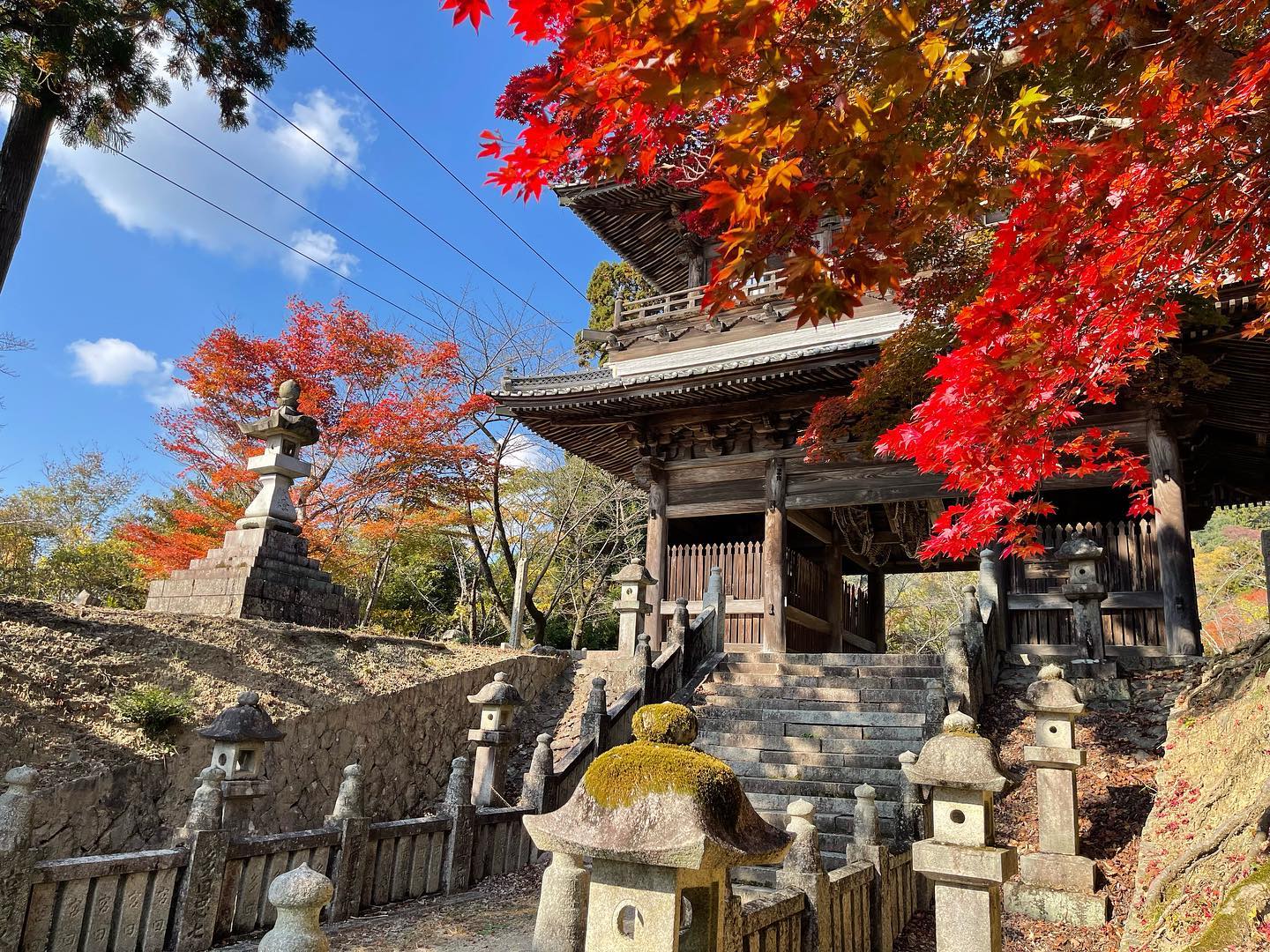 さんかんportal - 🍁番外編その3ニャ🍁 #箸蔵寺...