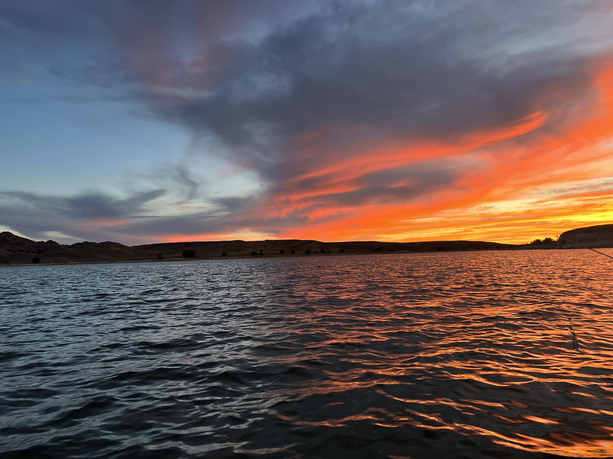 QuEy | Fort Collins CO