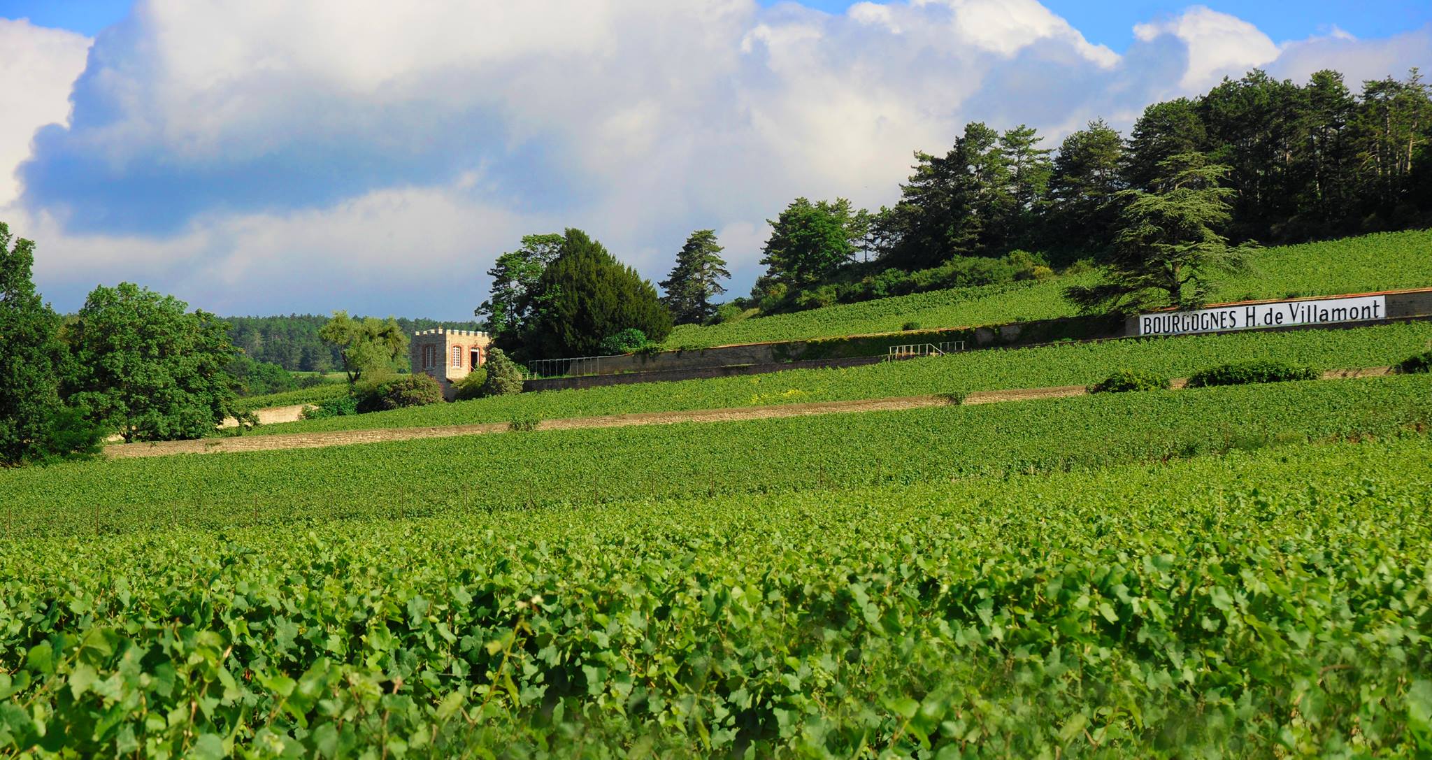 DOMAINE HENRI GOUGES added a new photo. - DOMAINE HENRI GOUGES